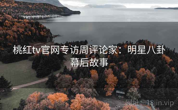 桃红tv官网专访周评论家：明星八卦幕后故事
