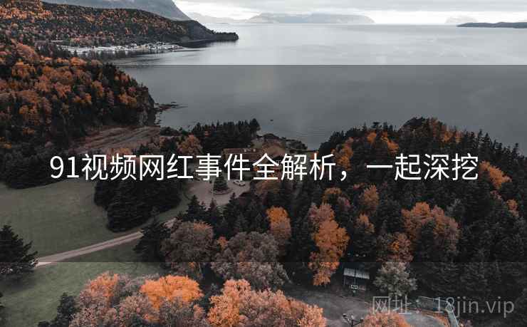 91视频网红事件全解析，一起深挖